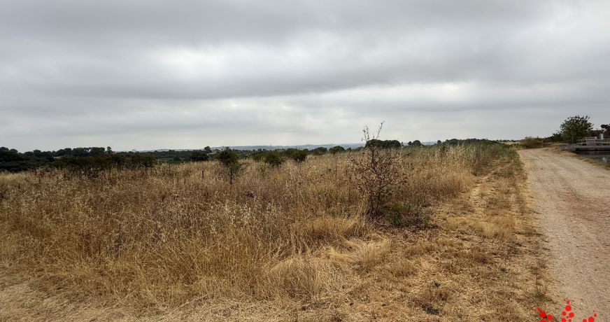 vente Terrain agricole Cazouls Les Beziers