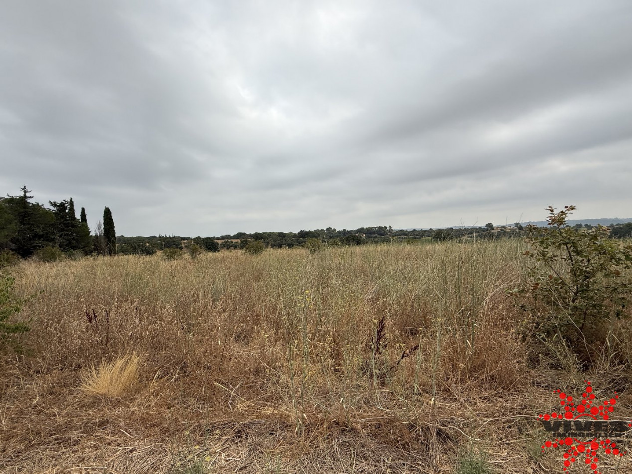 vente Terrain agricole Cazouls Les Beziers - Photo 2