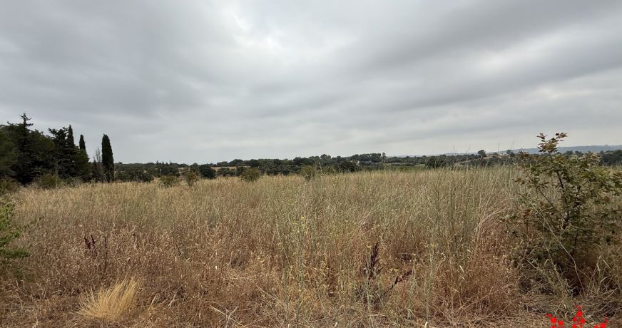 vente Terrain agricole Cazouls Les Beziers