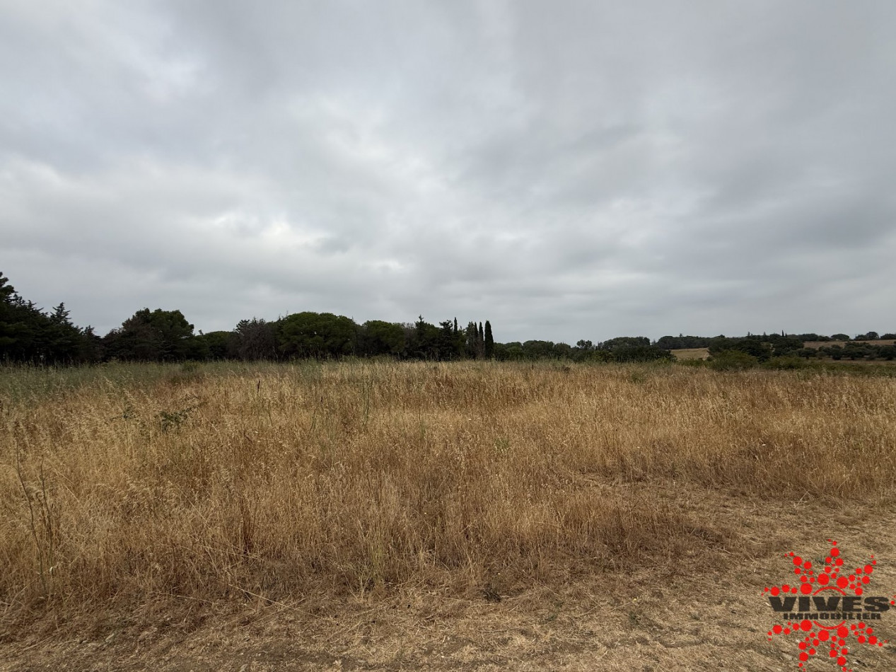 vente Terrain agricole Cazouls Les Beziers - Photo 1