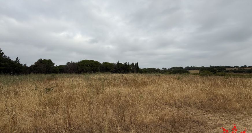 vente Terrain agricole Cazouls Les Beziers