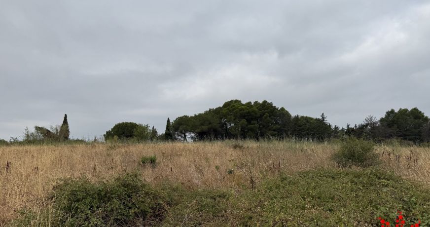 vente Terrain agricole Cazouls Les Beziers