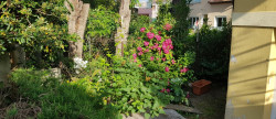 vente Maison de ville Beziers