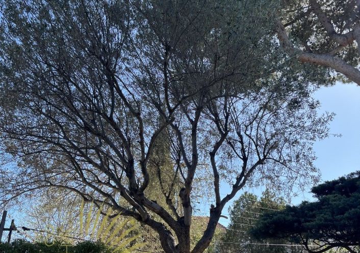 à vendre Maison Beziers