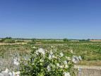 à vendre Maison Puimisson