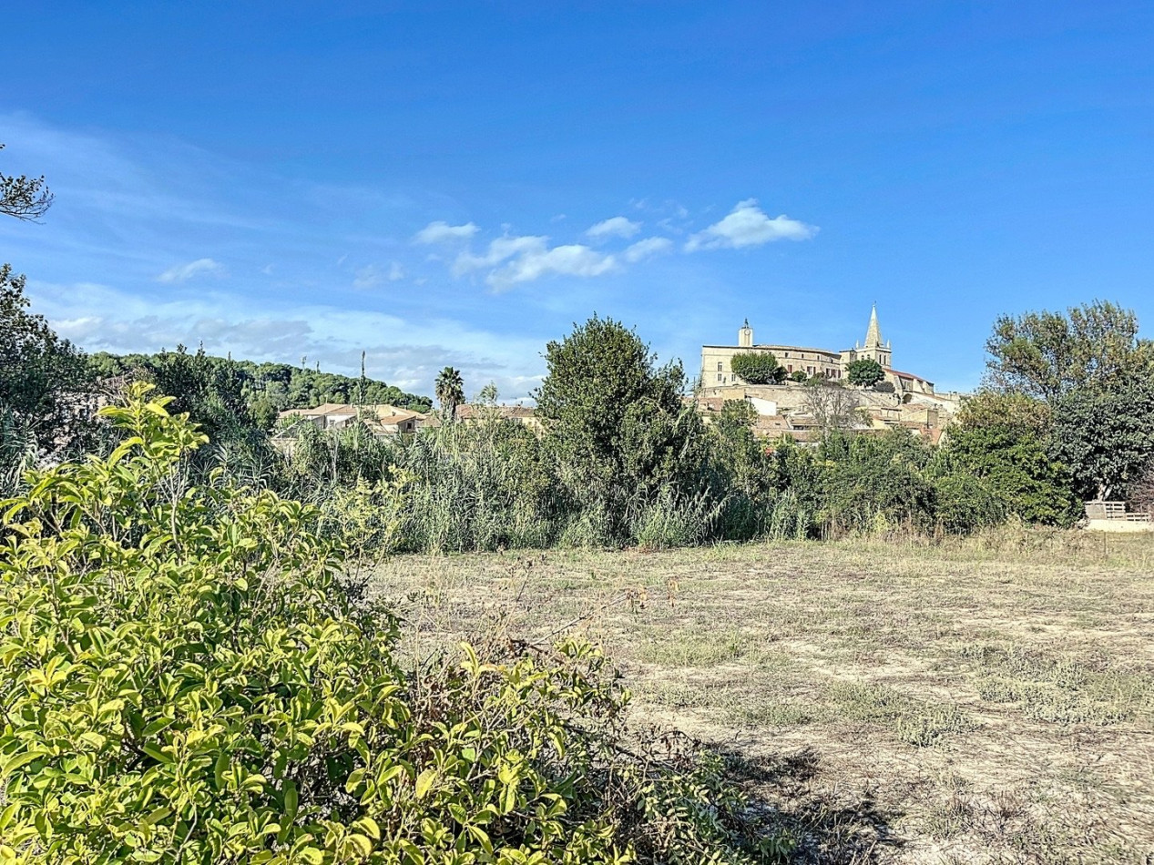 à vendre Terrain Murviel Les Beziers - Photo 1