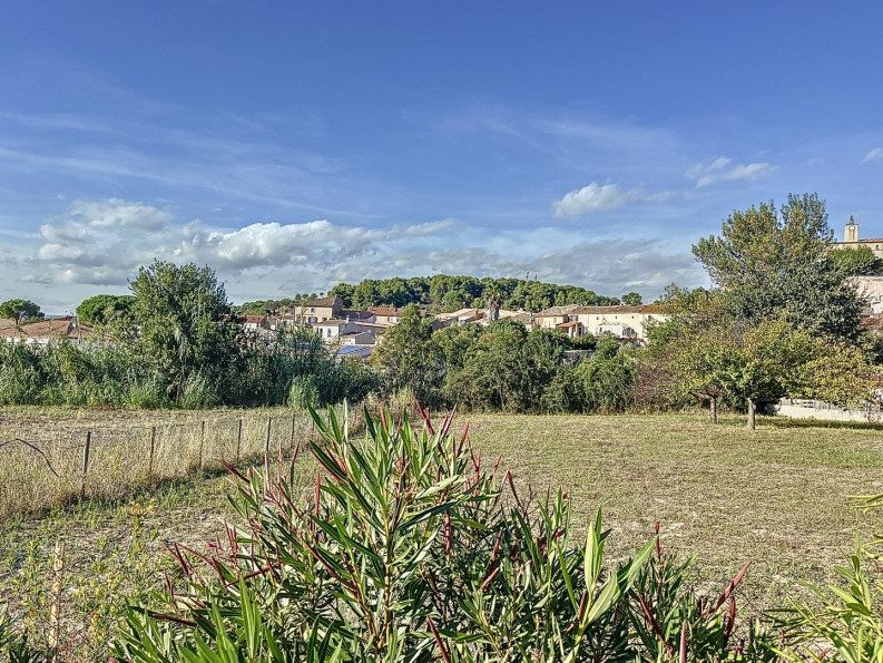 vente Terrain Murviel Les Beziers - Photo 8
