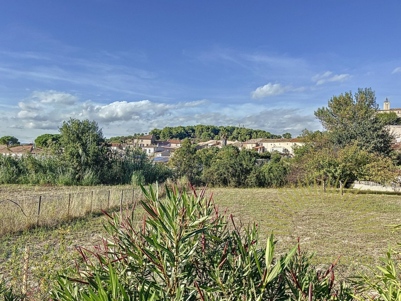 vente Terrain Murviel Les Beziers - Photo 5