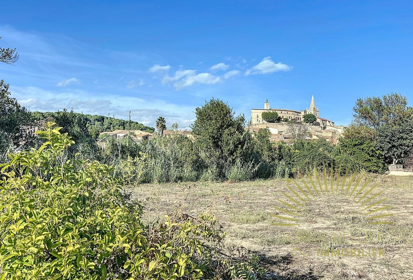 vente Terrain Murviel Les Beziers - Photo 3