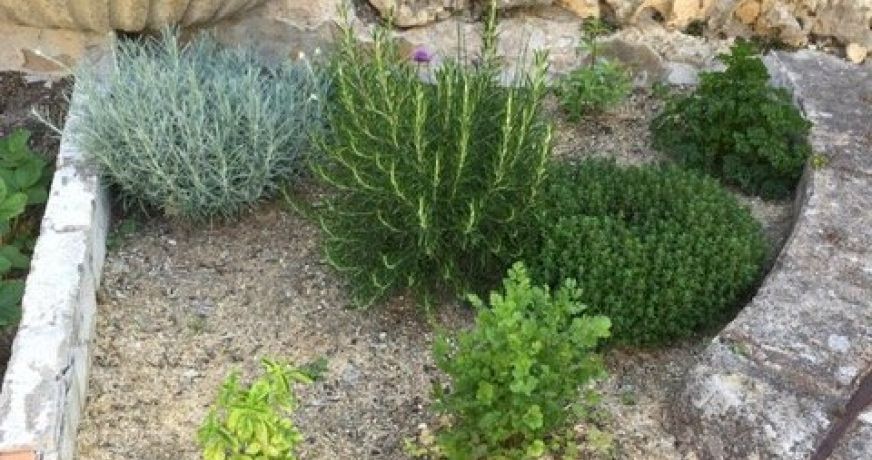 vente Maison Murviel Les Beziers