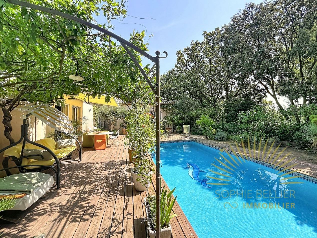 à vendre Maison Espondeilhan - Photo 14