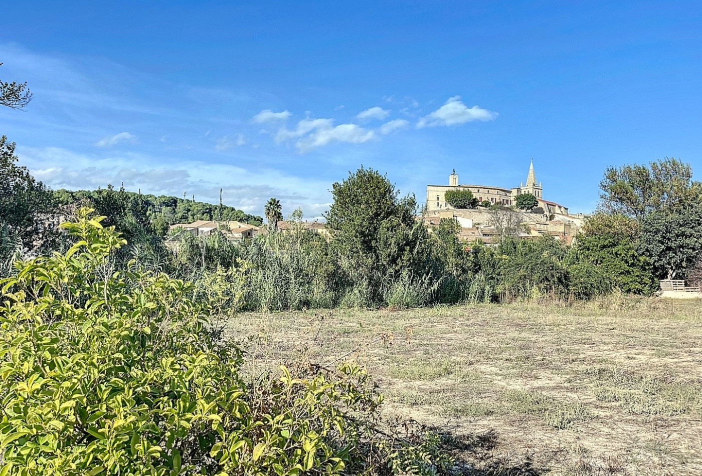 vente Terrain Murviel Les Beziers - Photo 5