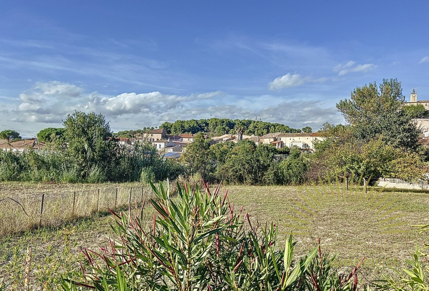 vente Terrain Murviel Les Beziers - Photo 5