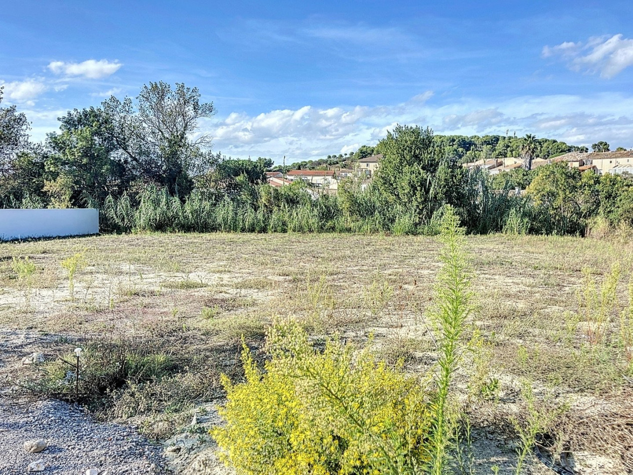 à vendre Terrain Murviel Les Beziers - Photo 11