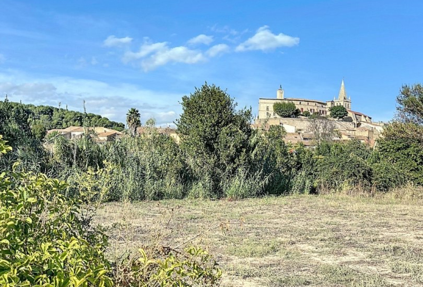 vente Terrain Murviel Les Beziers - Photo 10