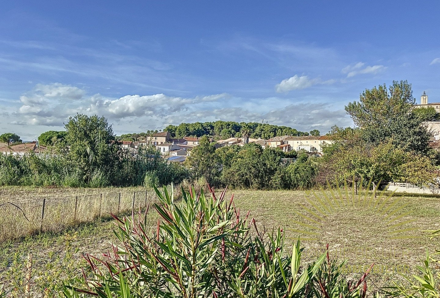 vente Terrain Murviel Les Beziers - Photo 5
