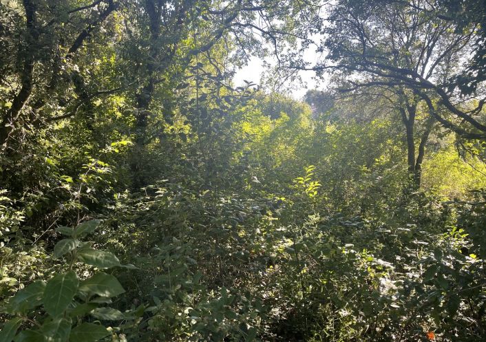 vente Terrain constructible Sommieres