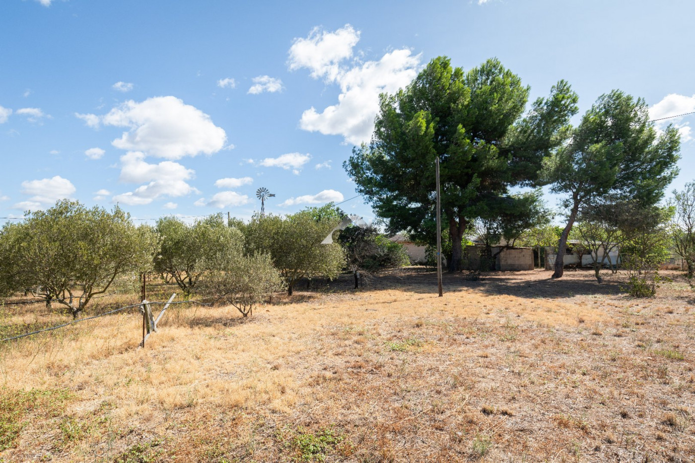 à vendre Maison Paulhan - Photo 4