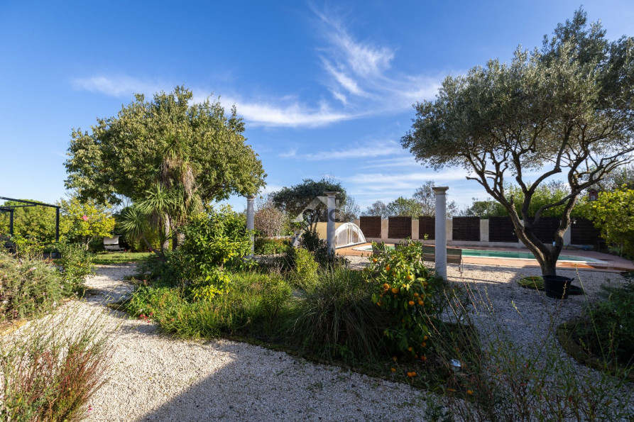 vente Maison Tourbes - Photo 5