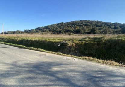 vente Terrain agricole Plaissan