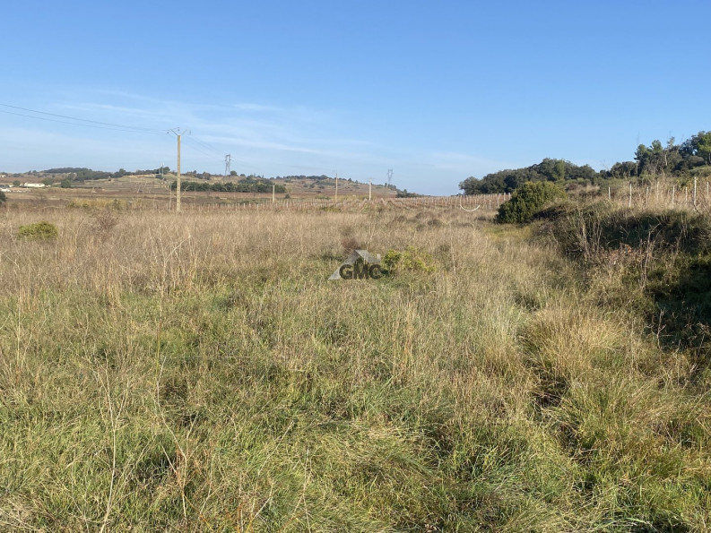 vente Terrain agricole Plaissan - Photo 3