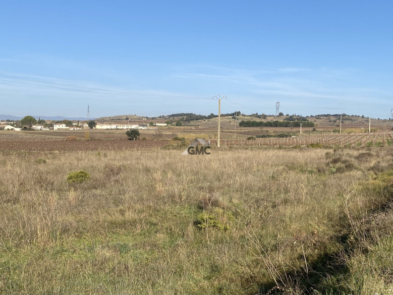 vente Terrain agricole Plaissan - Photo 4