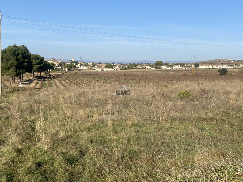 vente Terrain agricole Plaissan - Photo 5