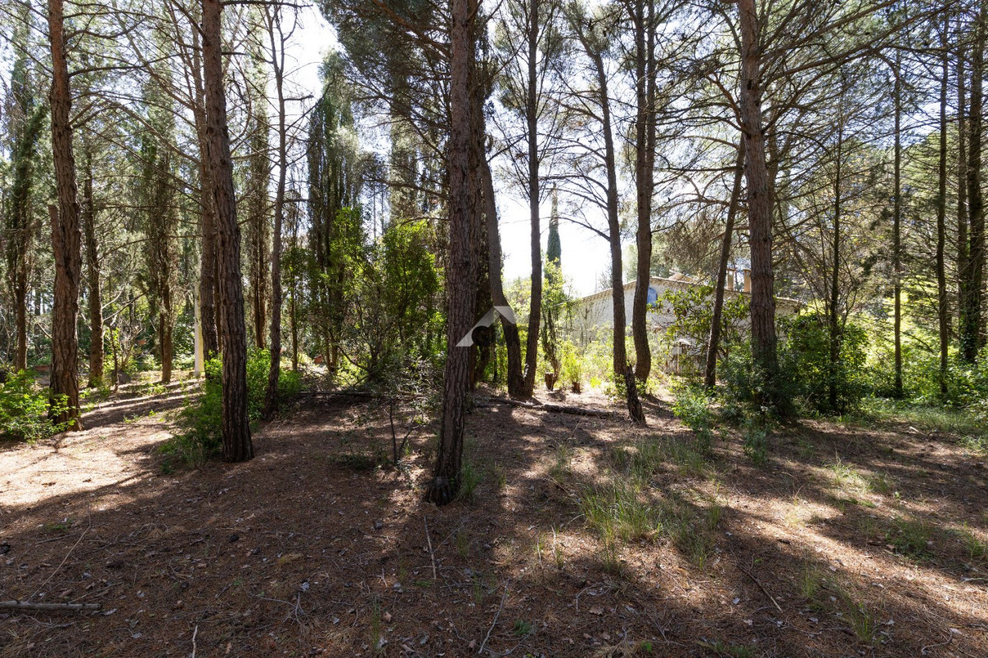 à vendre Maison Plaissan - Photo 5