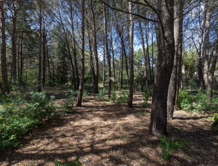 à vendre Maison Plaissan
