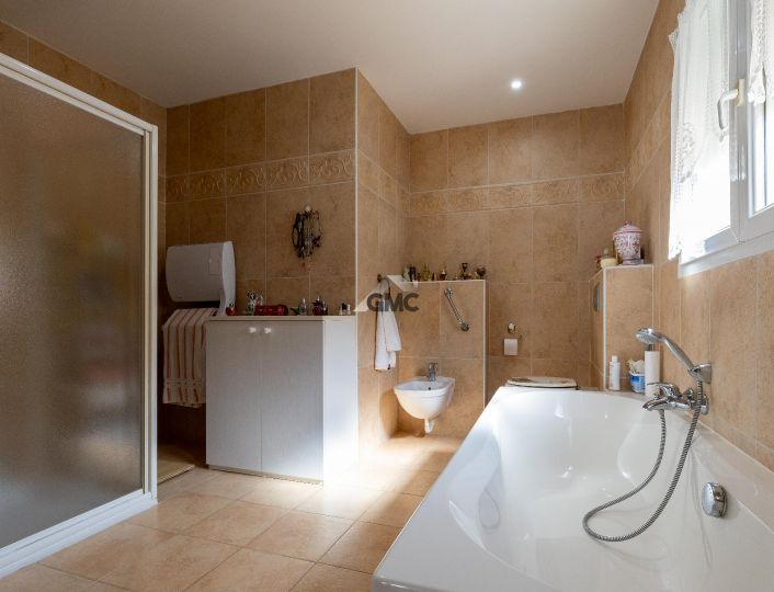 à vendre Maison Paulhan