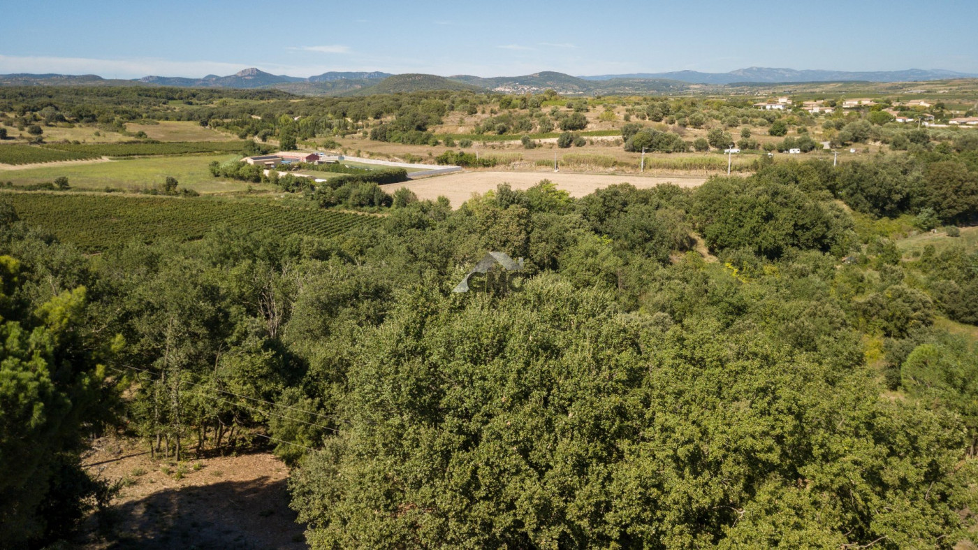 à vendre Maison Nizas - Photo 18