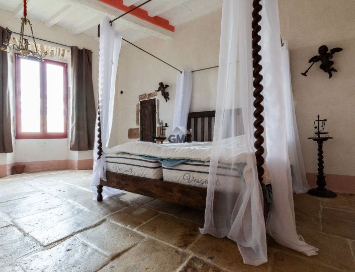 à vendre Château Clermont L'herault