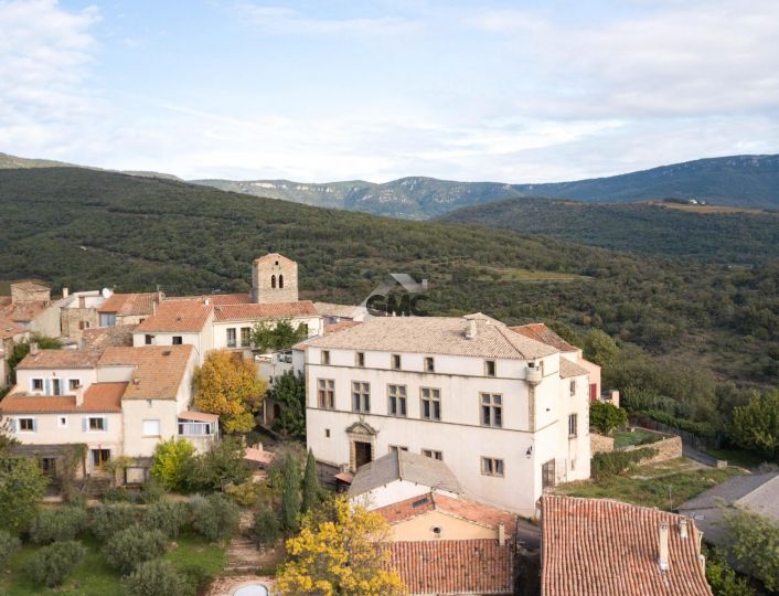 à vendre Château Clermont L'herault