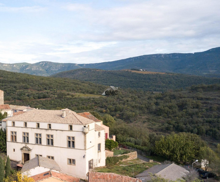 vente Château Clermont L'herault - Photo 1