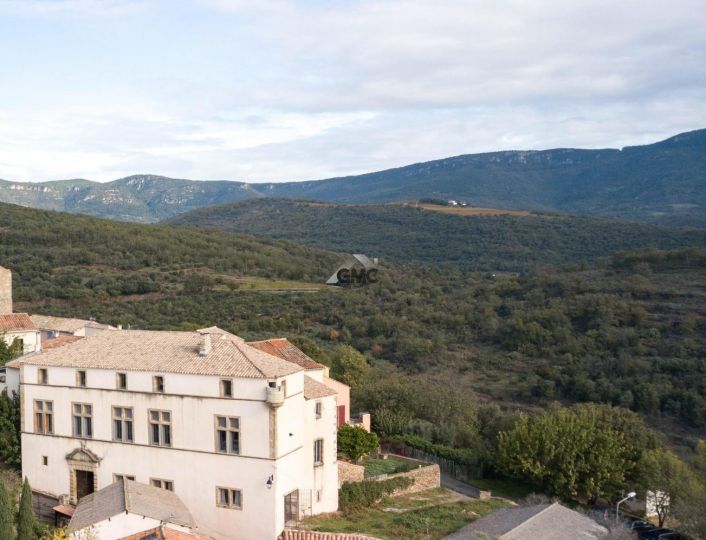 à vendre Château Clermont L'herault