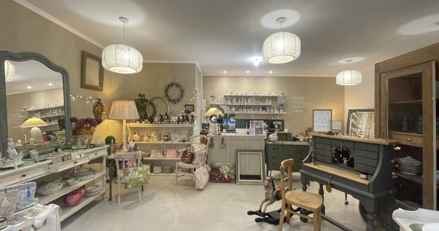 vente Local commercial Plaissan