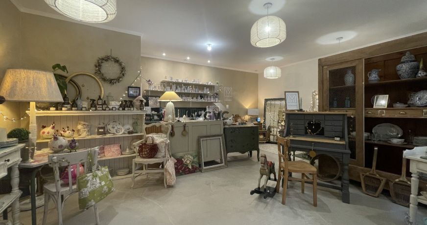 vente Local commercial Plaissan