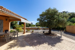 vente Maison Vendemian