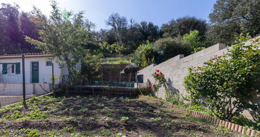 vente Appartement en rez de jardin Le Bousquet D'orb