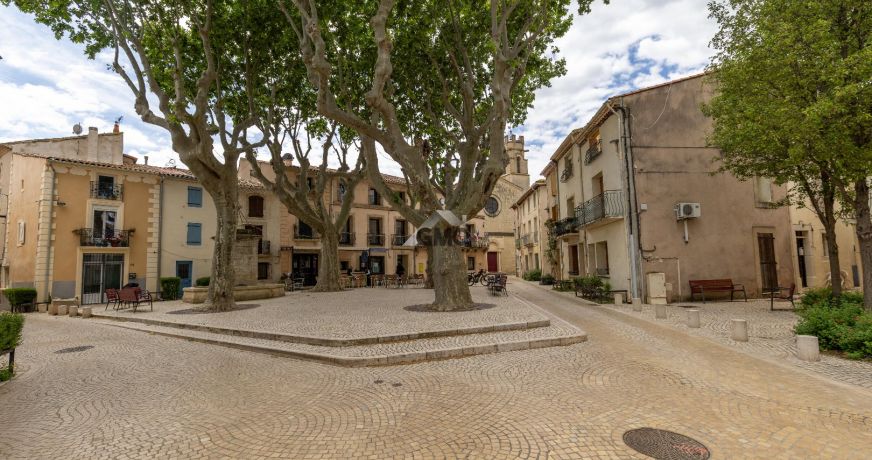 vente Maison Paulhan