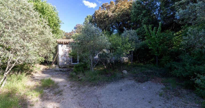 vente Mas Saint Pargoire