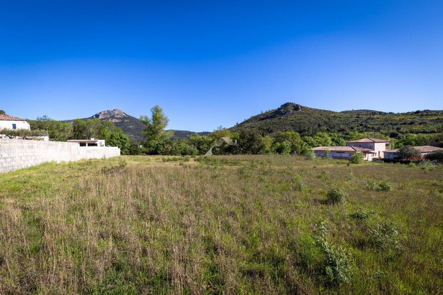vente Terrain en lotissement Clermont L'herault - Photo 5