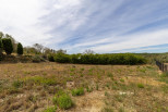 vente Terrain en lotissement Argens Minervois
