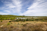vente Terrain en lotissement Argens Minervois