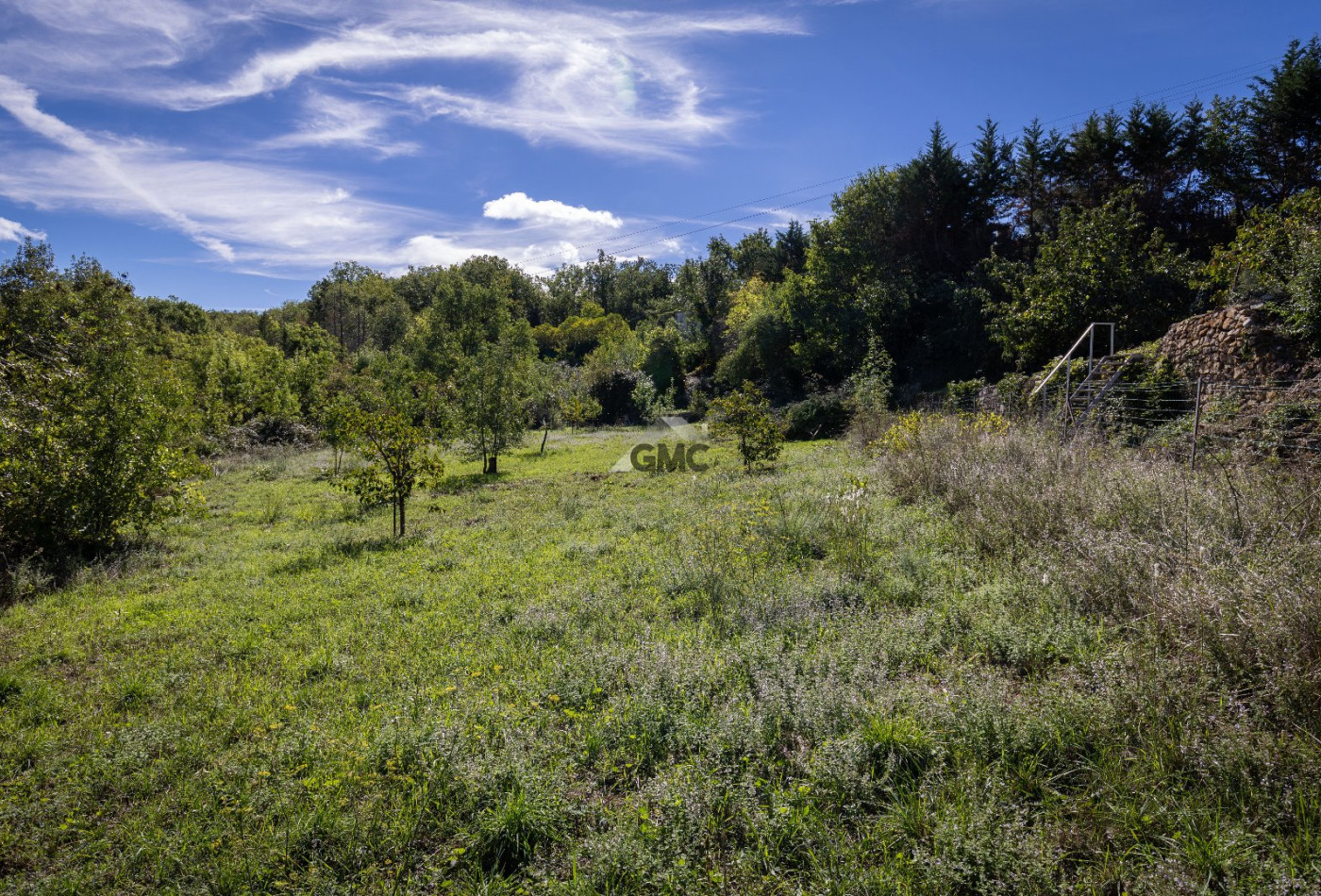vente Maison Lodeve - Photo 3