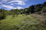 vente Maison Lodeve