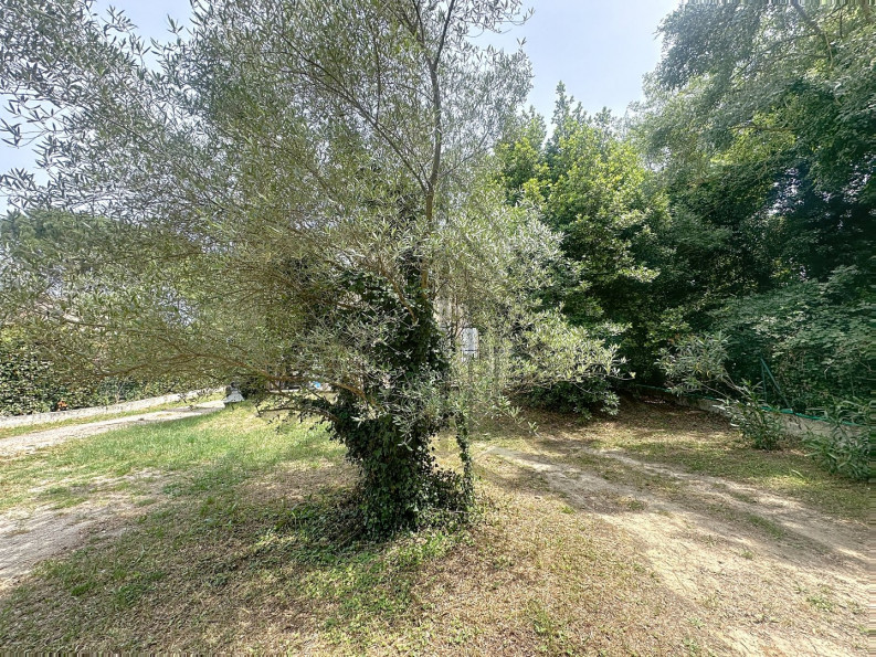 vente Maison Saint Jean De Vedas - Photo 5