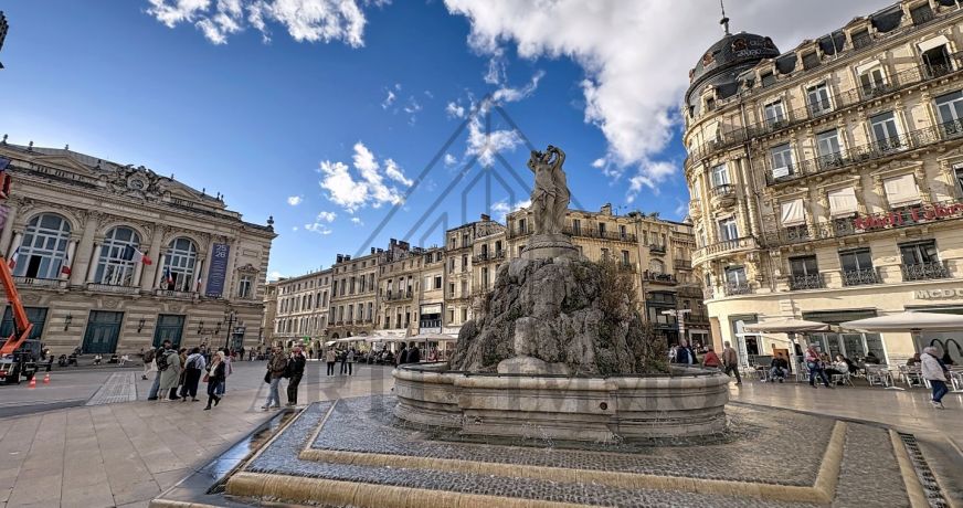 vente Appartement rénové Montpellier