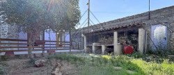 vente Maison vigneronne Lattes