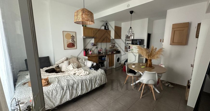 location Appartement Montpellier